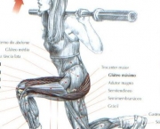 Exercícios Para Tornear As Pernas (3)