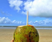 Água de Coco é Hidratante Natural (8)