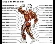 massa-muscular (7)