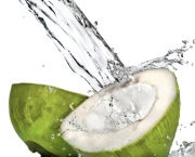 Green coconut with water splash isolated on white