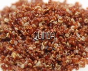 Dieta-saudável-9-alimentos-para-o-dia-a-dia-que-ajudam-a-emagrecer-e-otimizam-a-saúde-quinoa