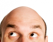 bald head isolated