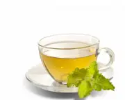 Chá Verde Para Perder Peso (17)