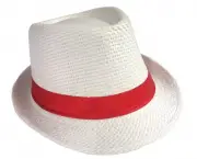 Chapéu de Palha Panamá (2)