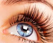 501982-Os-cílios-ajudam-a-proteger-os-olhos-e-dão-ainda-mais-beleza-ao-olhar-Fotodivulgação.