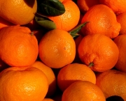Frutas Cítricas e Emagrecimento (6)