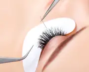 Woman Eye with Long Eyelashes. Eyelash Extension