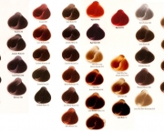 coloraco-alfaparf-evolution-of-the-color-60gr-agua-oxig-14522-MLB3329125569_102012-F